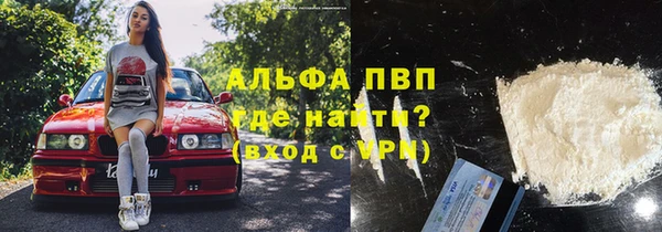 шишки Приозерск